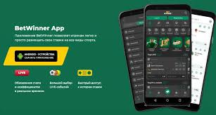 BetWinner App Your Ultimate Betting Experience